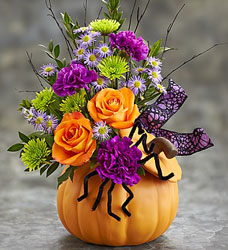 Halloween Treats Davenport Florist - Same Day Flower Delivery - Flower Power 